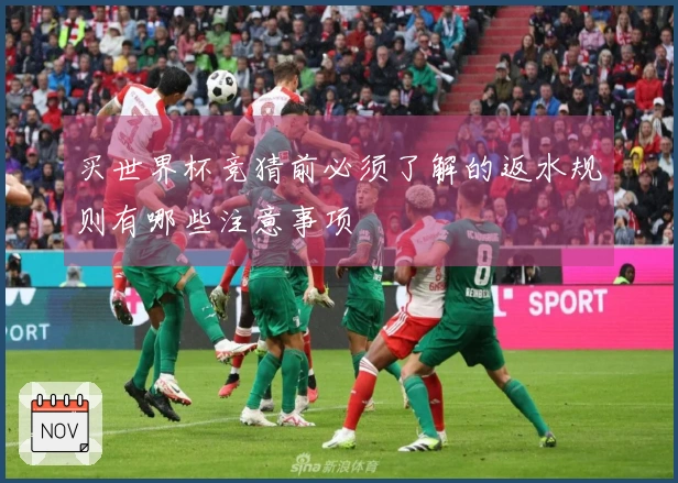 买世界杯竞猜前必须了解的返水规则有哪些注意事项