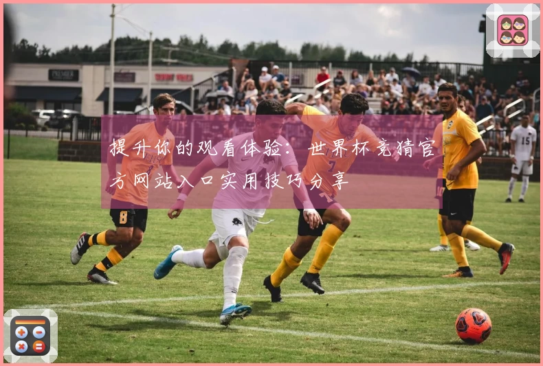 提升你的观看体验：世界杯竞猜官方网站入口实用技巧分享