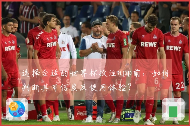 选择合适的世界杯投注app前，如何判断其可信度及使用体验？