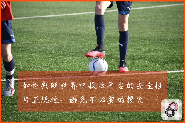 如何判断世界杯投注平台的安全性与正规性，避免不必要的损失