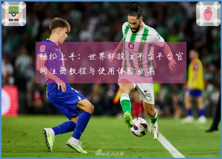 轻松上手：世界杯投注平台平台官网注册教程与使用体验分享