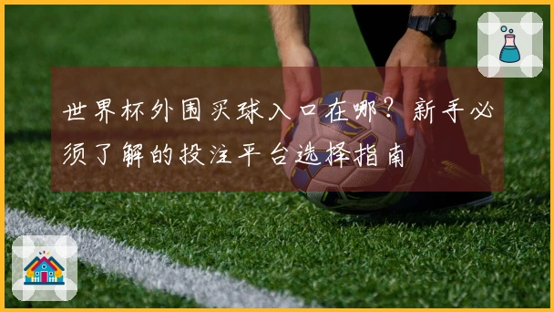 世界杯外围买球入口在哪？新手必须了解的投注平台选择指南
