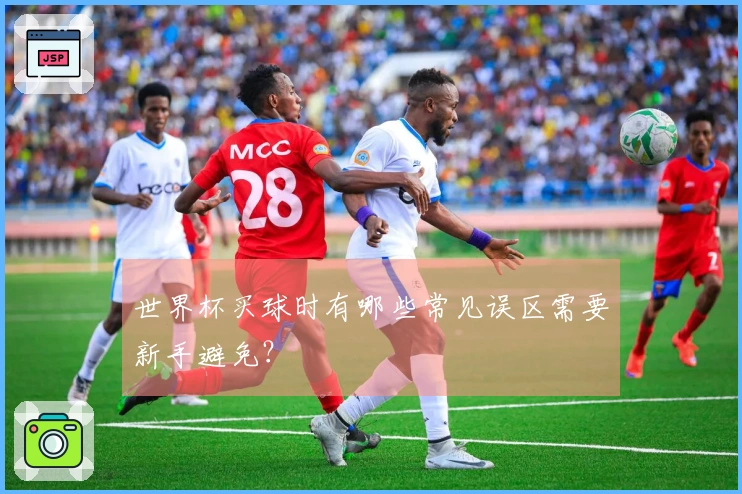 世界杯买球时有哪些常见误区需要新手避免？