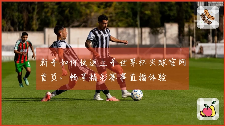 新手如何快速上手世界杯买球官网首页，畅享精彩赛事直播体验