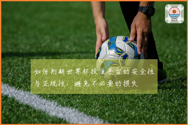 如何判断世界杯投注平台的安全性与正规性，避免不必要的损失