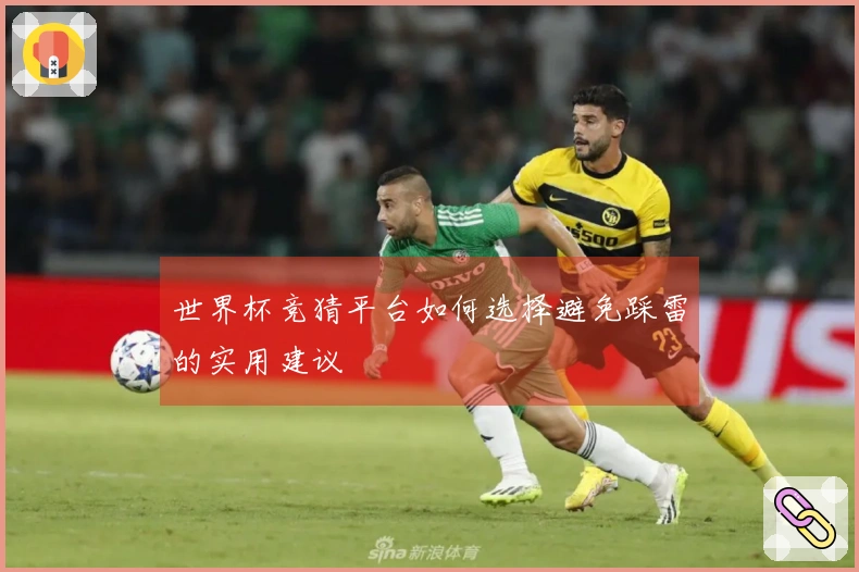 世界杯竞猜平台如何选择避免踩雷的实用建议