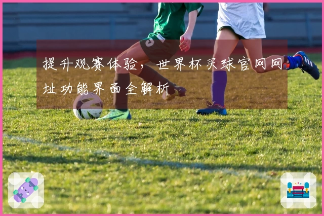 提升观赛体验，世界杯买球官网网址功能界面全解析