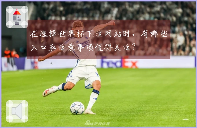 在选择世界杯下注网站时，有哪些入口和注意事项值得关注？
