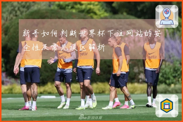 新手如何判断世界杯下注网站的安全性及常见误区解析