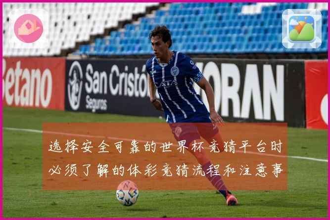 选择安全可靠的世界杯竞猜平台时必须了解的体彩竞猜流程和注意事项