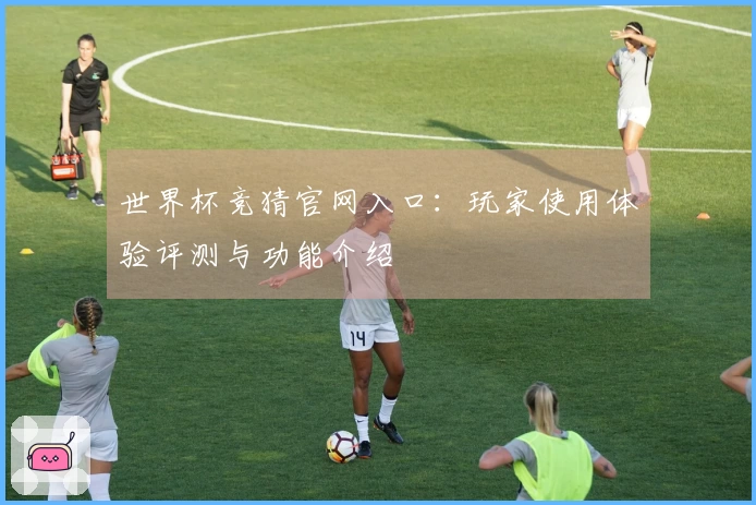 世界杯竞猜官网入口：玩家使用体验评测与功能介绍