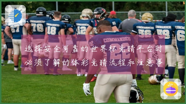 选择安全可靠的世界杯竞猜平台时必须了解的体彩竞猜流程和注意事项