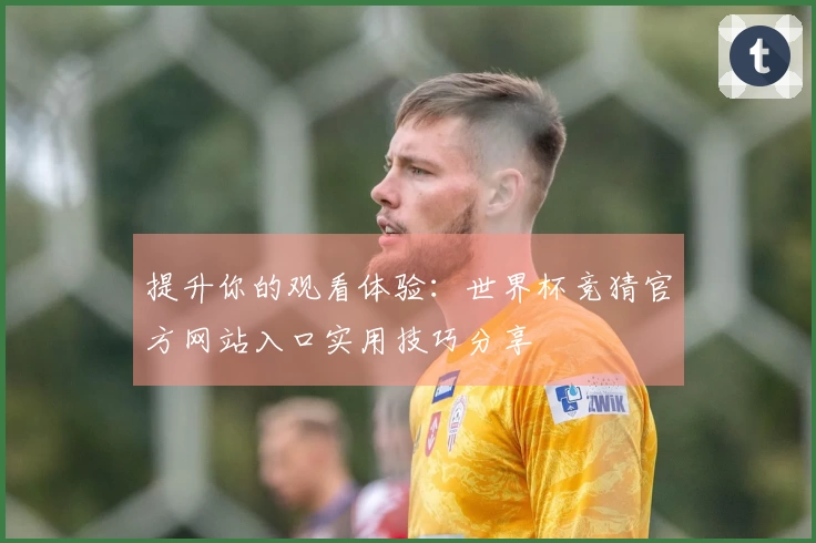 提升你的观看体验：世界杯竞猜官方网站入口实用技巧分享