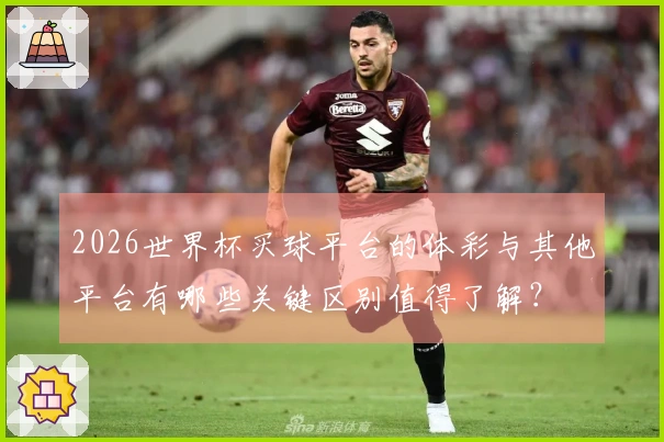 2026世界杯买球平台的体彩与其他平台有哪些关键区别值得了解？