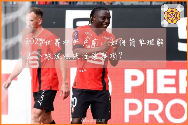 2026世界杯开户前，如何简单理解大小球玩法及注意事项？