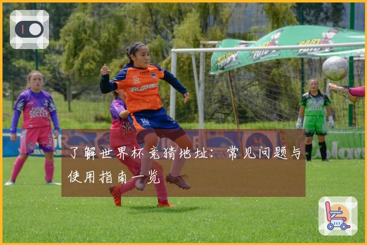 了解世界杯竞猜地址：常见问题与使用指南一览