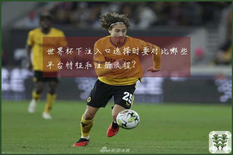 世界杯下注入口选择时要对比哪些平台特征和注册流程？
