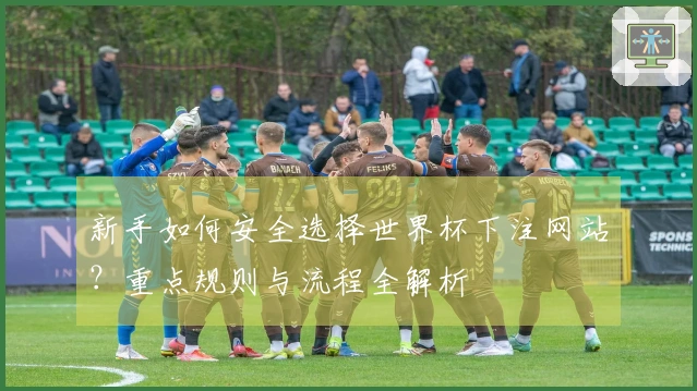 新手如何安全选择世界杯下注网站？重点规则与流程全解析