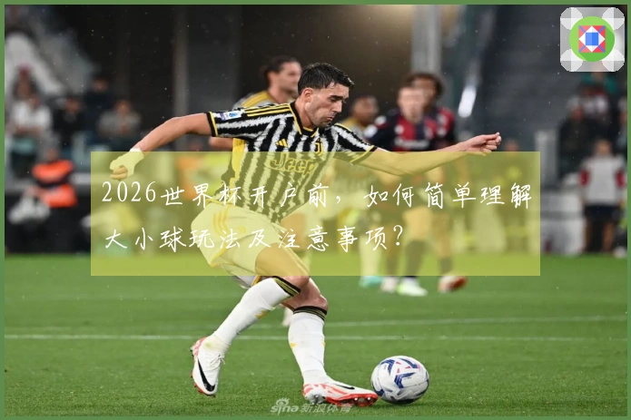 2026世界杯开户前，如何简单理解大小球玩法及注意事项？