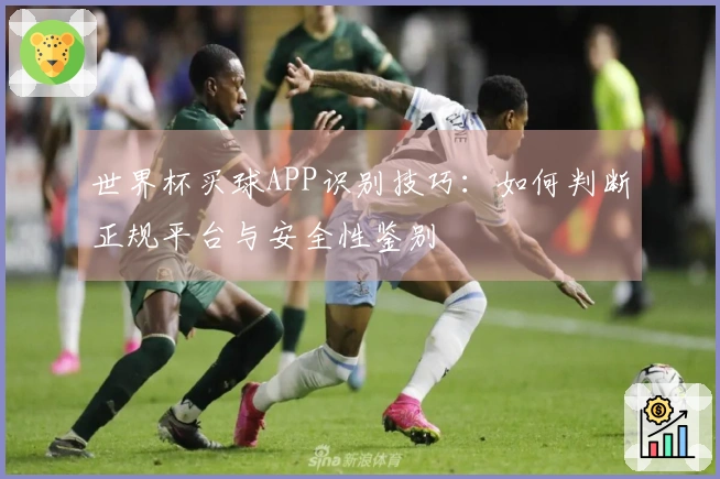世界杯买球APP识别技巧：如何判断正规平台与安全性鉴别
