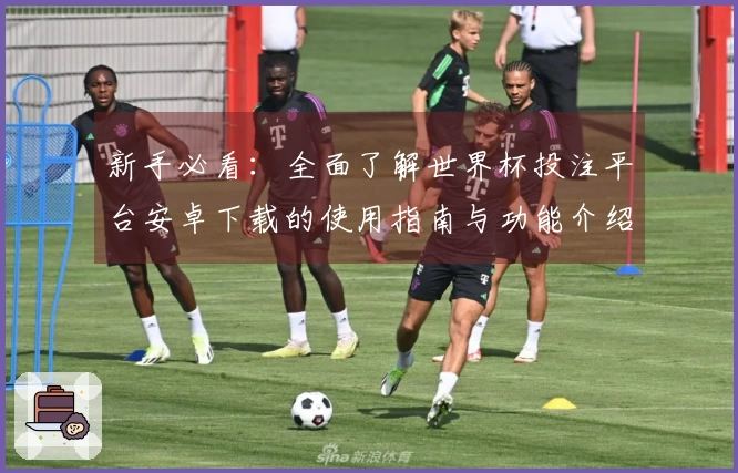 新手必看：全面了解世界杯投注平台安卓下载的使用指南与功能介绍