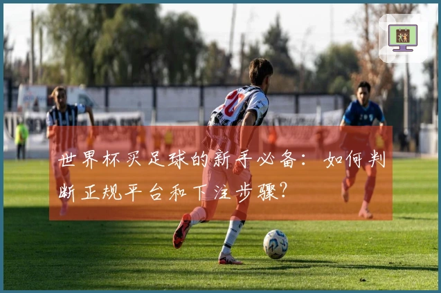 世界杯买足球的新手必备：如何判断正规平台和下注步骤？