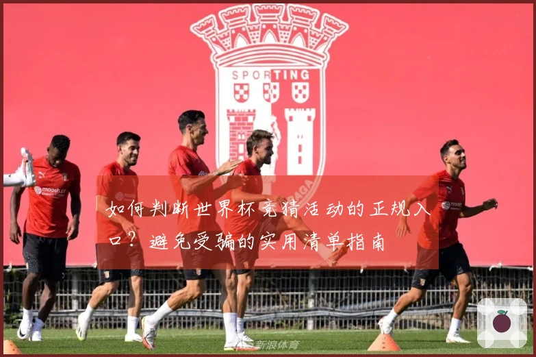 如何判断世界杯竞猜活动的正规入口？避免受骗的实用清单指南