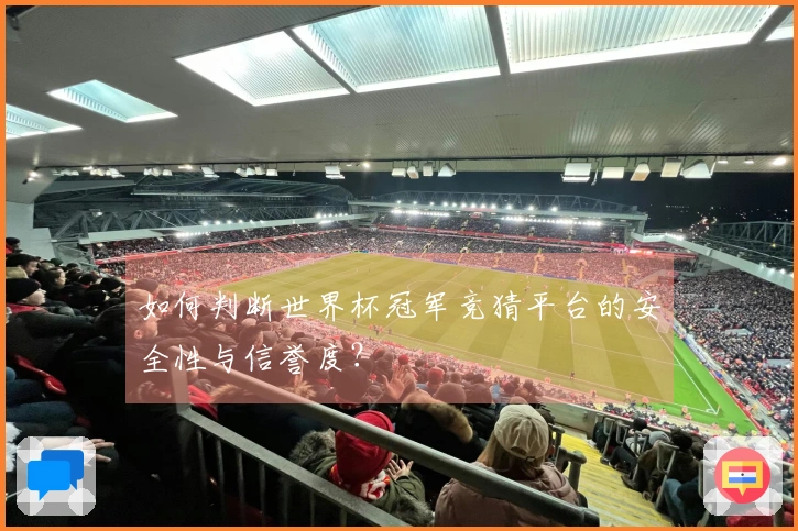 如何判断世界杯冠军竞猜平台的安全性与信誉度？
