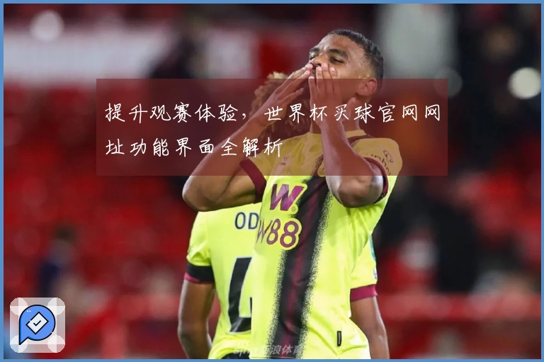 提升观赛体验，世界杯买球官网网址功能界面全解析